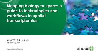 Mapping biology in space a guide to technologies and workflows in spatial transcriptomics