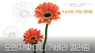 눈으로 그리는 컬러링_오렌지컬러 거베라 #컬러링  #꽃 #색연필