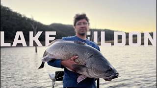 Murray Cod at LAKE EILDON