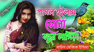 বিচ্ছেদ গান | pagol hoilam sona bondhur lagiya / পাগল হইলাম সোনা বন্ধুর লাগিয়া 😋 Baul Music India