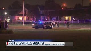 Why Ohio economy loses $1 billion a year from domestic violence cases