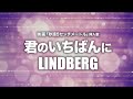 LINDBERG - 君のいちばんに・・・(Cover by 藤末樹/歌:知念結)【フル/字幕/歌詞付】