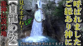 ※神回！⚠️本当に白龍と会いたいなら必ずご覧下さい！龍神に選ばれたのですから！【岐阜県中津川市 竜神神社】