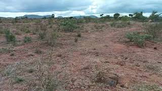 3acre land Hanur enda 4km general property  agriculture land  acre 15 laksh negosebal 8095838918