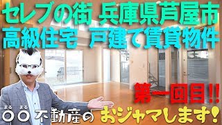 【兵庫県 芦屋市】#01 セレブの街 兵庫県芦屋市 高級住宅 戸建て賃貸物件【〇〇不動産のおジャマします!】【ルームツアー】【内見】