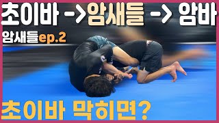 초이바가 막혀도 월드클라스 선수들은 암바로 끝낸다? | 노기 주짓수 암새들ep.2