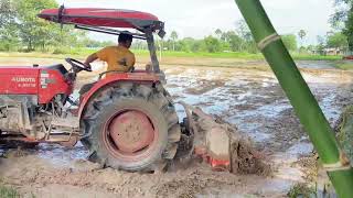 Tractor agriculture cultivation | two tractor Kubota [L5018sp] and [M6040su]