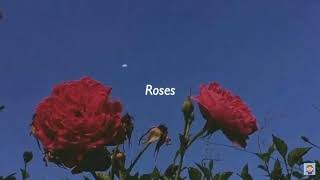 Juice Wrld-Roses(Lyrics) ft. Brendon Urie