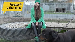 Tierisch München am 04.12.2023