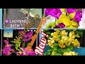 100 Top Beautiful Bougainvillea varieties 2024with Names And 🆔/Bougivillea plant ☘️🔔👍🙏