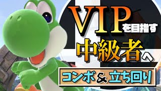 【目標VIP安定】ヨッシーでVIPを目指す中級者の方へ　必要なものだけ【スマブラSP/解説】