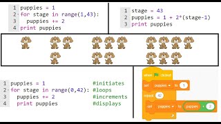 Python Day 19: Pattern Recognition w/ Visual Patterns