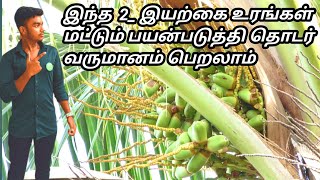 தென்னைக்கு தேவையான அனைத்து சத்துக்கள் நிறைந்த இந்த உரங்கள்பயன்படுத்தி தென்னையில் அதிக மகசூல் பெறலாம்