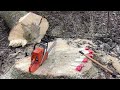 timber cutting compilation 12 trees in 13 minutes