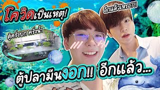 จัดตู้ครึ่งบกครึ่งน้ำ Paludarium ของมันต้องมี! | MARKMEAN