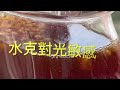 水克非爾 在沒有陽光的日子44小時起悶泡.今早有太陽出現🌞悶泡自然消失而珠花活躍。