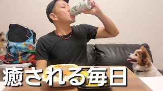 孤独な中年は、愛犬を相手に晩酌して深酒して寂しさを紛らわす【家飲み】【１人晩酌】【酒飲み】