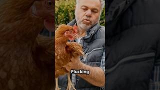 The Ultimate Guide to Plucking a Chicken Like a Pro!