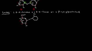 Carbohydrates (Part 3 of 4) - Disaccharides and Polysaccharides