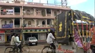 The streets of Orissa