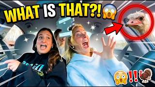 You Can’t Stop Laughing 😂 Most Hilarious Videos on the Internet | Laugh Planet