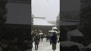 東京で大雪 | It snowed heavily in Tokyo. 2022.1 #雪 #東京