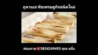 ภูพานเฮ พืชเศรษฐกิจชนิดใหม่ Ep1   สอบถามโทร 0834249493