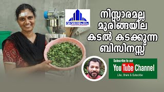 നിസ്സാരമല്ല മുരിങ്ങയില - വൻ ബിസിനസ് അവസരമാണ്/Moringa leaf is not trivial/t s chandran