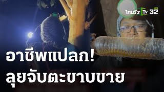 อาชีพแปลก! ลุยจับตะขาบขาย สร้างรายได้งาม | 25 ต.ค. 66 | ตะลอนข่าว