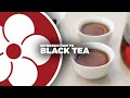 Intro to Black Tea