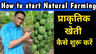 How to start Natural Farming | प्राकृतिक खेती कैसे शुरू करें | Subhash Palekar Natural Farming