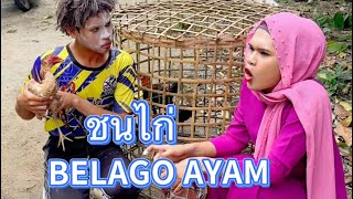 ชนไก่ BELAGO AYAM