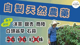 蟲害剋星! 自製藥草液｜洋薑 銀杏 白頭翁 商陸 夾竹桃【ParkFarmTV】