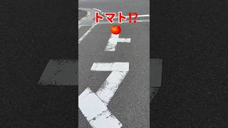 何でここだけ⁉️なるほど・ザ・ロード🤣　#shorts #道路 #道路標示#止まれ #スペクトラム