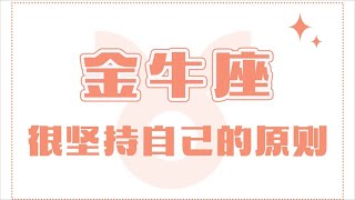 「陶白白」不要嘗試打破金牛座的原則