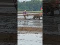 turn#agriculture #mud #shorts #shortsvideo #plowing #field #quick #farmer #egret #green#tractor #