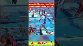 😱150 Ton மீன்கள் வலையில் சிக்கிய ஆச்சர்யம்..மீனவர்களுக்கு அடித்த Jackpot! | Fish | Cuddalore