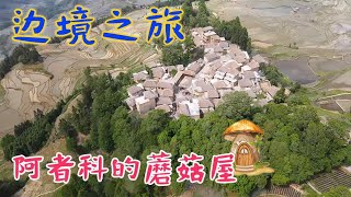 元阳梯田中的独特村子，村民住电影里的蘑菇屋，躺着就能挣到钱【旅途琪遇记】