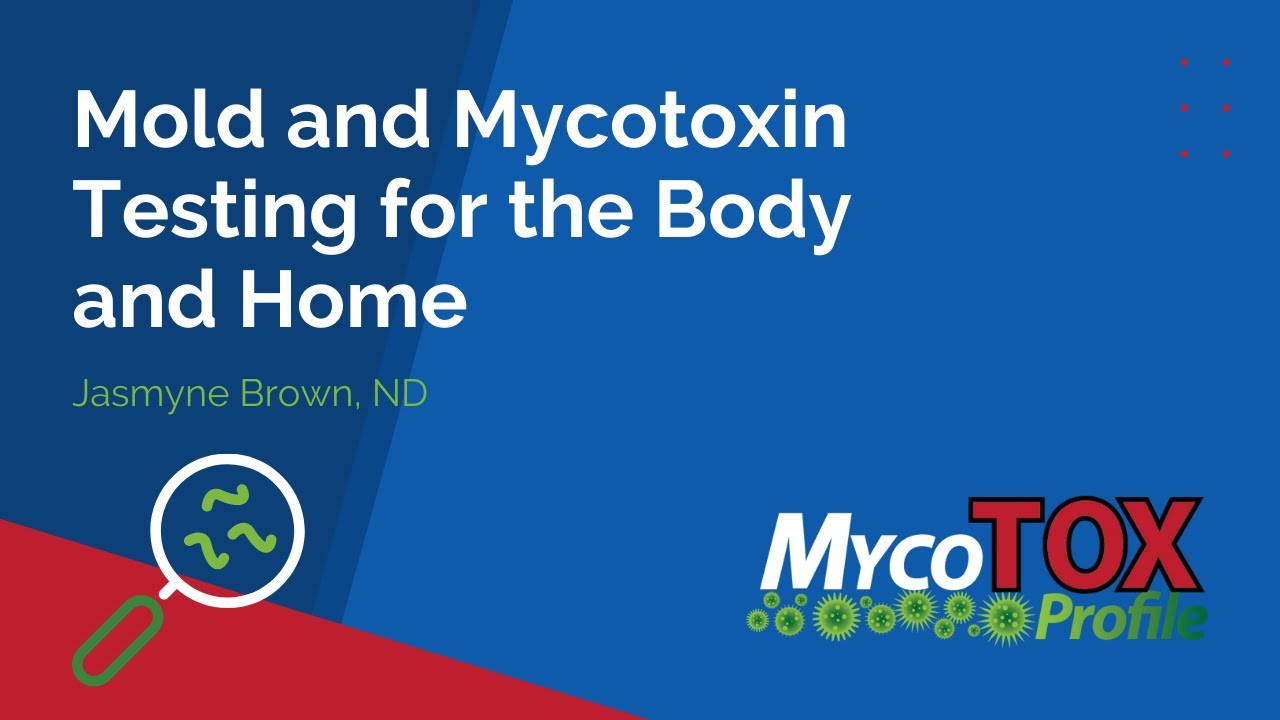 Mold And Mycotoxin Testing For The Body And Home - YouTube