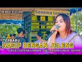 NASIP DENGAN JELENG COVER || AOLINA ALFIA LESTARI - SENIMA LOMBOK