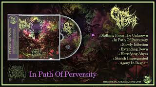 Cranial Implosion - In Path Of Perversity (Full Album 2024)