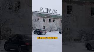 СЕМИПАЛАТИНСКИЕ ПОНЧИКИ С АРЗ #shorts