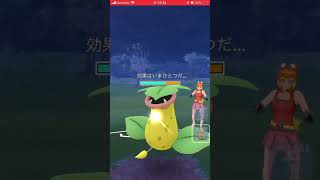 次の時代はバクガメスが流行るか…？ #ポケモンgo #gbl #速成カップ