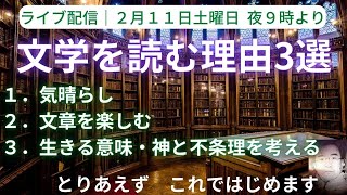 文学を読む理由についての雑談｜①気晴らし・退屈しのぎ②物語を楽しむ・文章を楽しむ③生きる意味を知りたい・考えたい