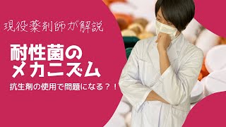 【抗生剤】★耐性菌★問題点や耐性の獲得について現役薬剤師が解説します