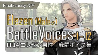 【FF14】エレゼン男性 戦闘ボイス1~12サンプル集 / Male Elezen Battle Voices