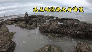 【小俞赶海】80天没来龙王坑赶海，惊现成千上万条鱼货大聚集，5条就值1000多