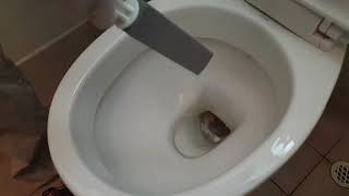 Using a pumice stone to remove stubborn toilet bowl stains