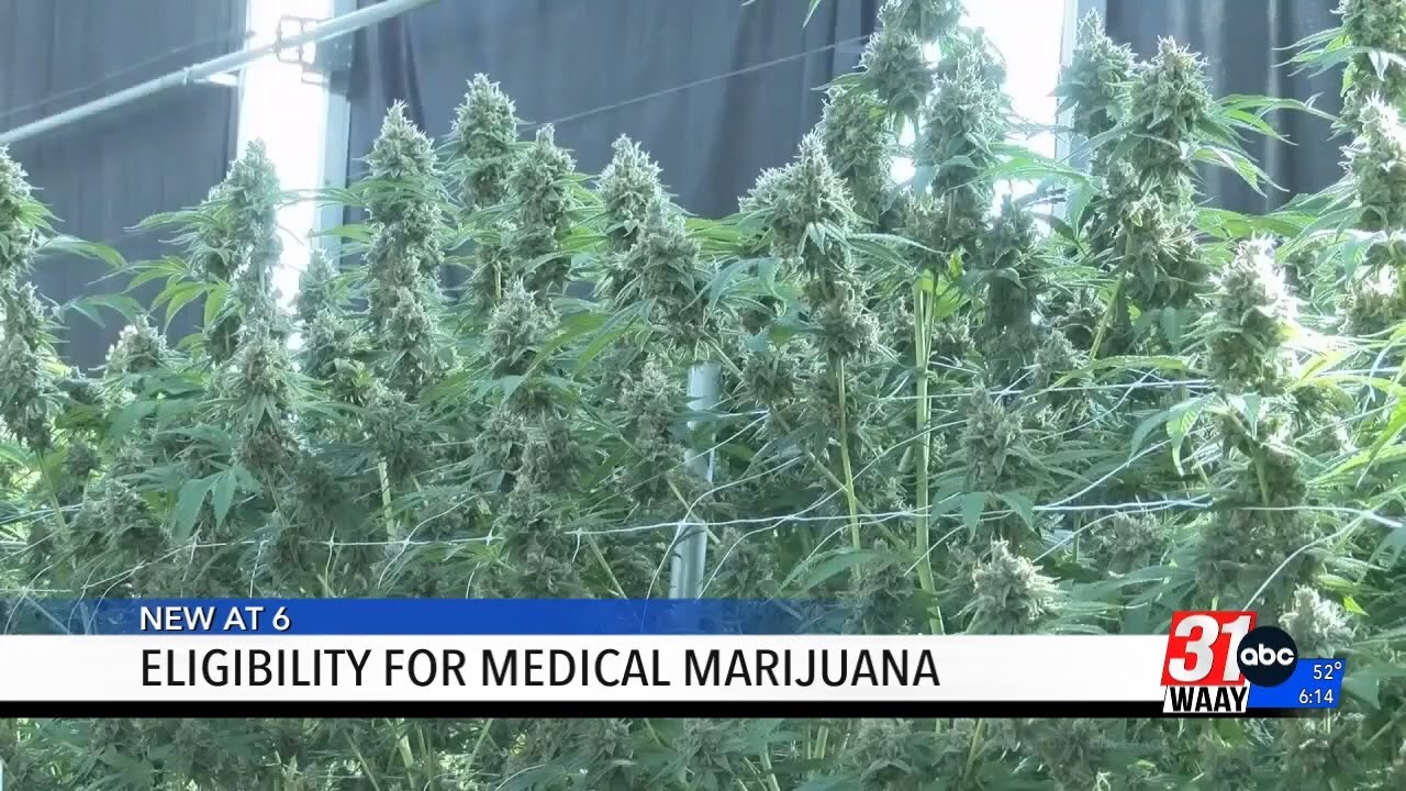 Eligibility For Medical Marijuana - YouTube