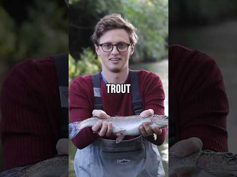 Can you keep fish caught in the Thames?